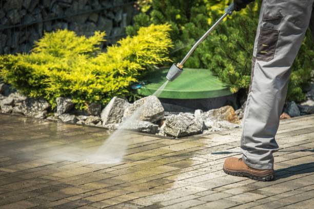 Best Building Exterior Washing  in Orwigsburg, PA